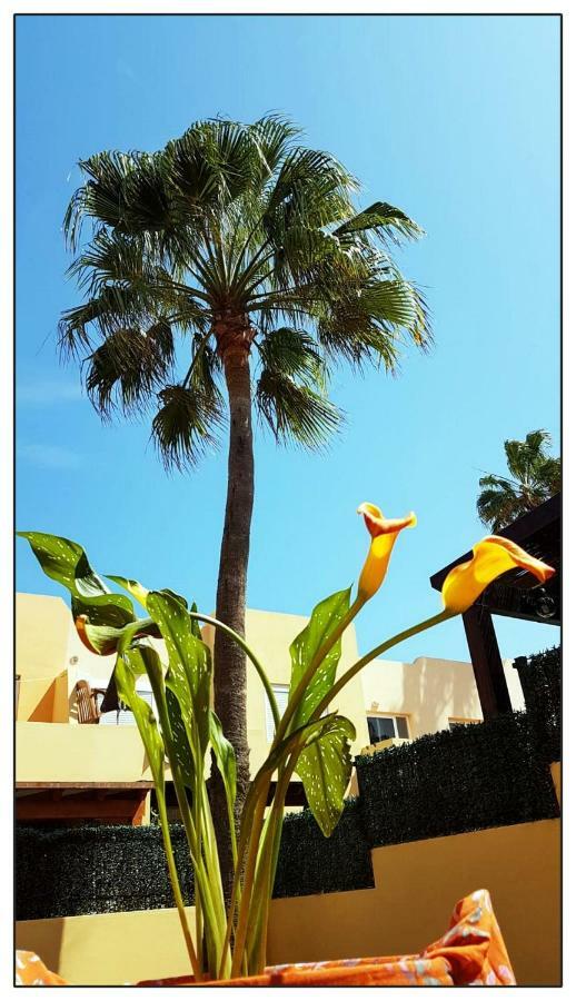 Apartament Lur De La Playa Corralejo Zewnętrze zdjęcie