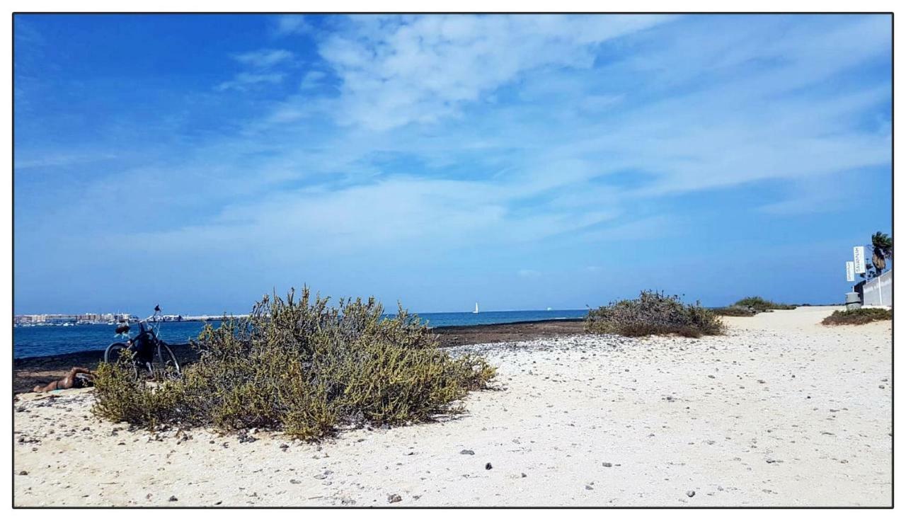 Apartament Lur De La Playa Corralejo Zewnętrze zdjęcie